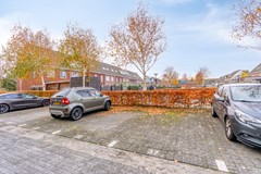 FREYJAPLANTSOEN 3-35.jpg